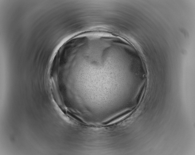 X0000112810816200909041453