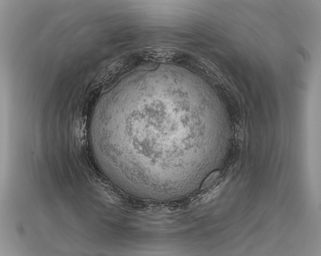 X0000112810818200909041452