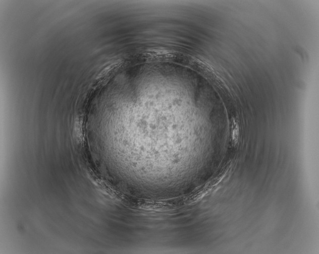 X0000112810819200909041452