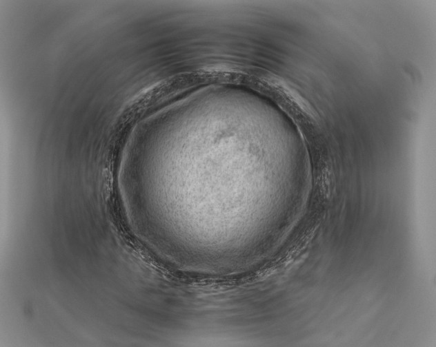 X0000112810821200909041452