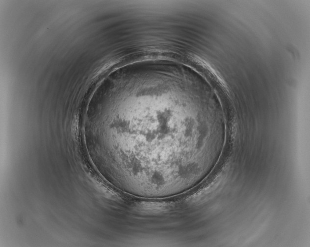 X0000112810825200909041452