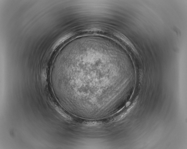 X0000112810826200909041452