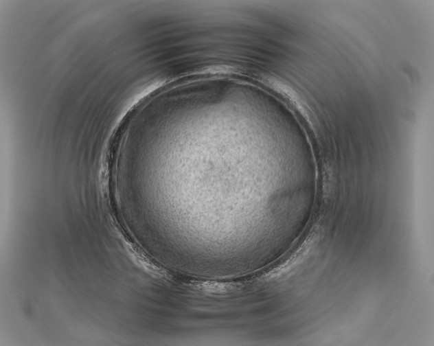 X0000112810827200909041452