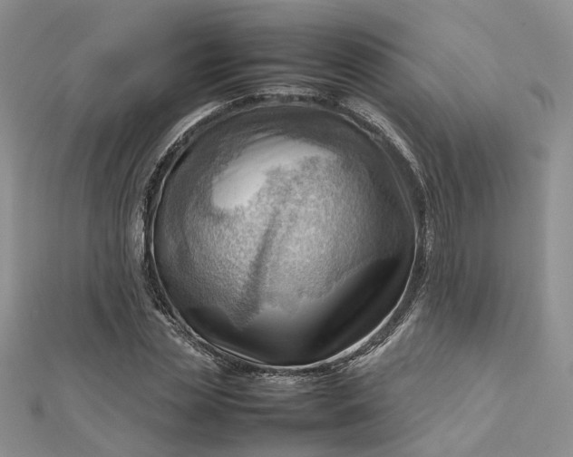 X0000112810829200909041452