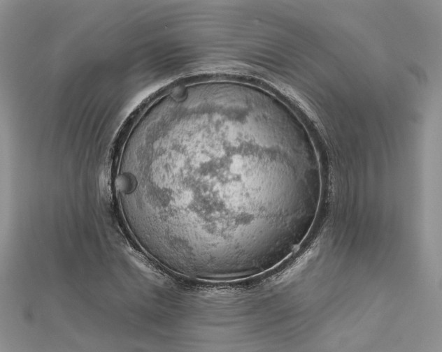 X0000112810830200909041452