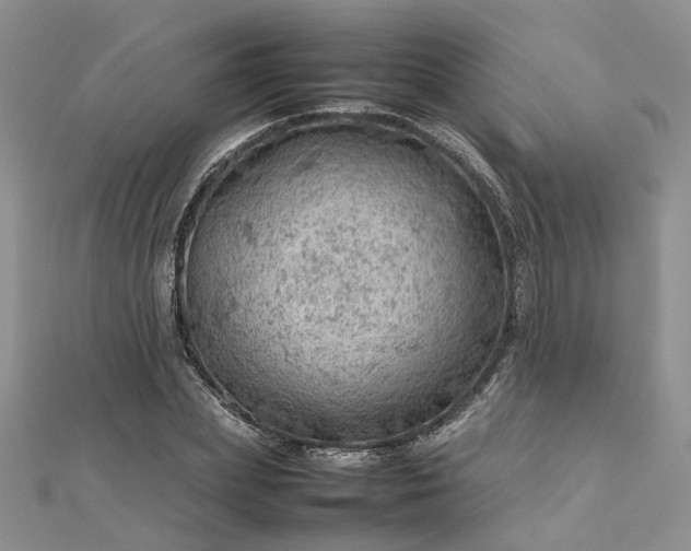 X0000112810831200909041452