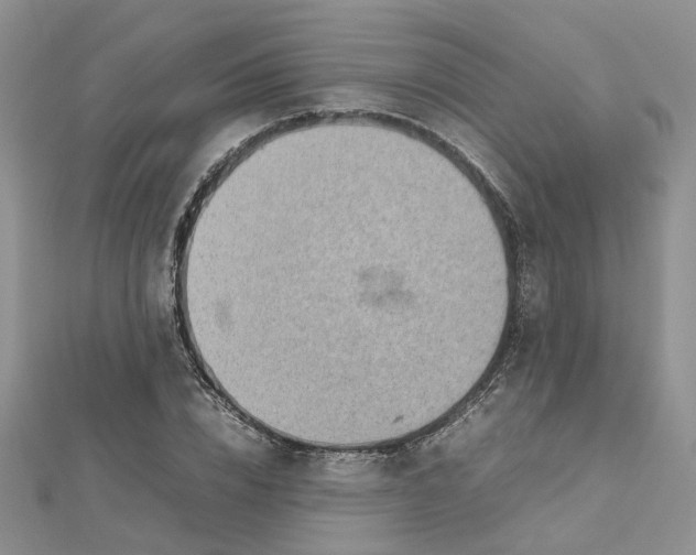 X0000112810832200909041452