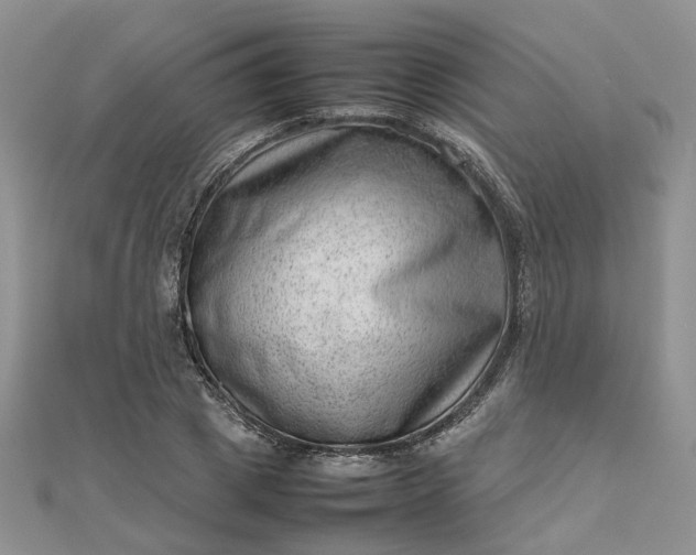 X0000112810833200909041452