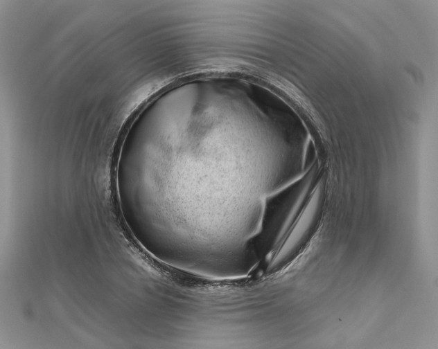 X0000112810834200909041452