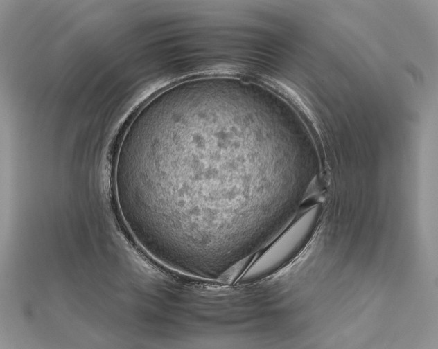 X0000112810835200909041452