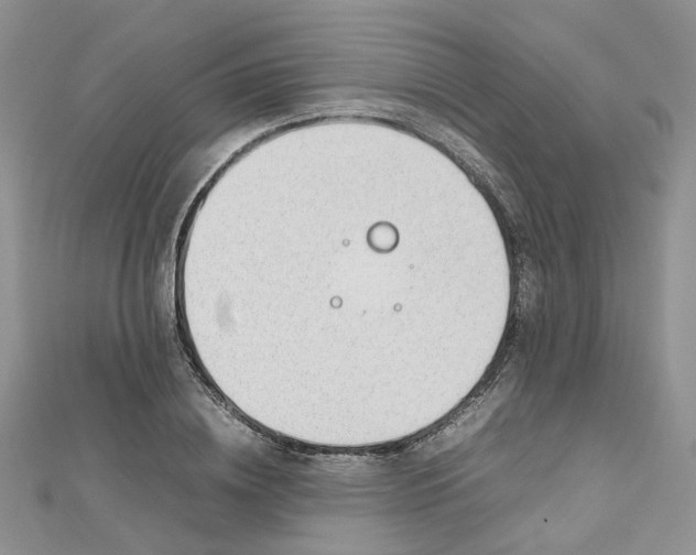 X0000112810836200909041452