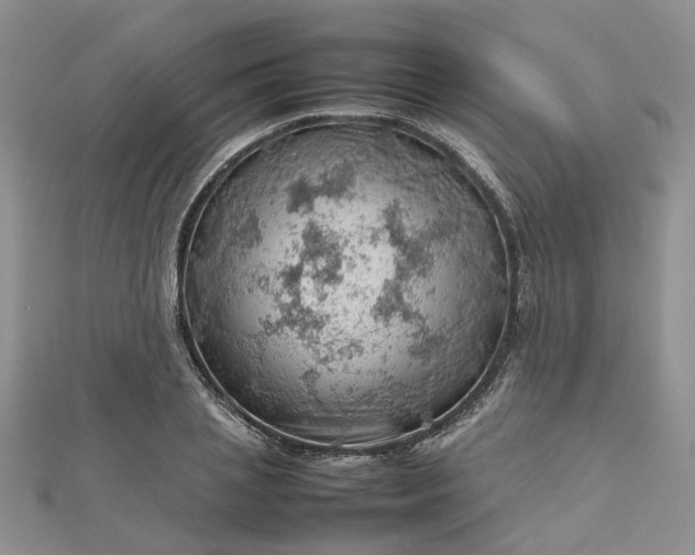 X0000112810837200909041452