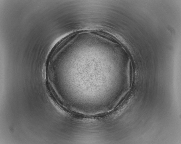 X0000112810838200909041452