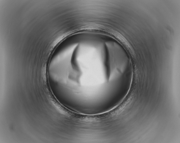 X0000112810842200909041452