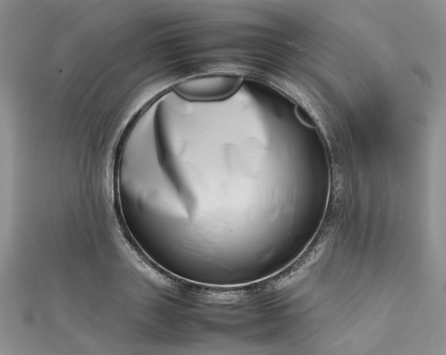 X0000112810843200909041452