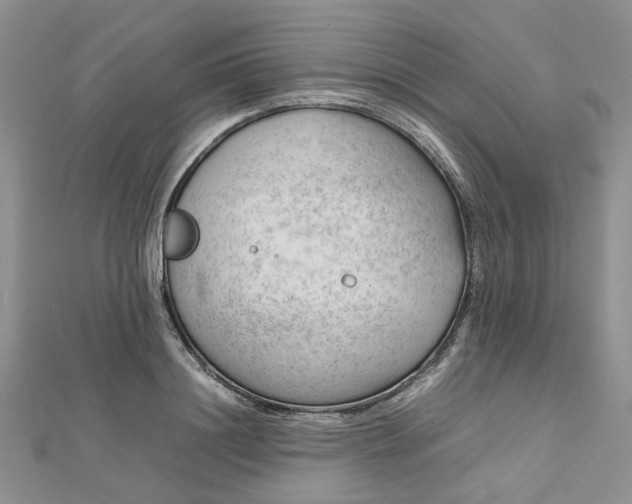 X0000112810844200909041452