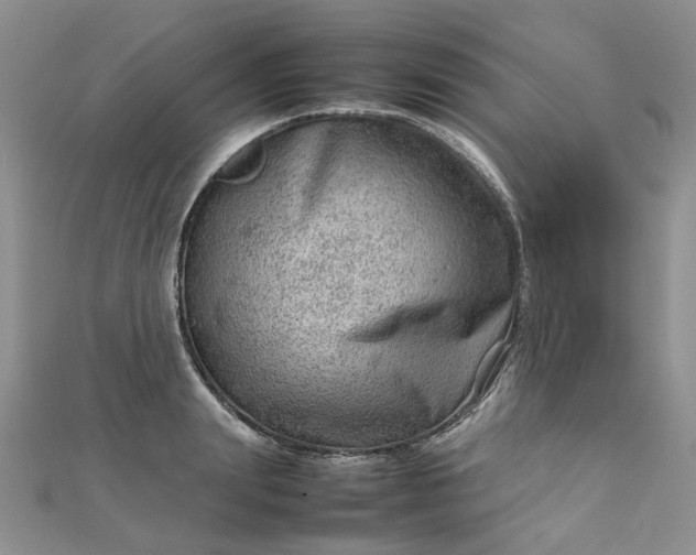 X0000112810847200909041452