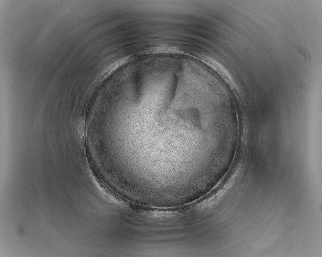 X0000112810849200909041452