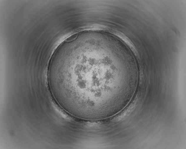 X0000112810850200909041452