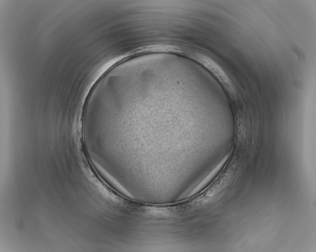 X0000112810852200909041452