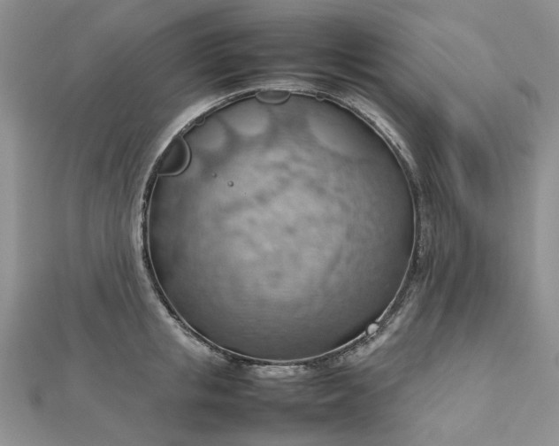 X0000112810853200909041452