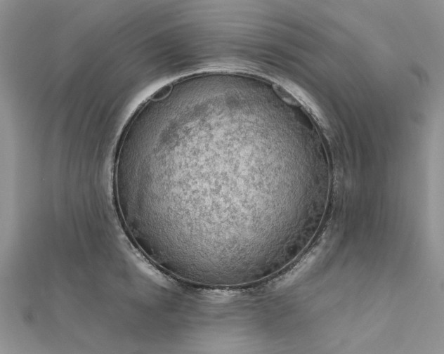 X0000112810854200909041452