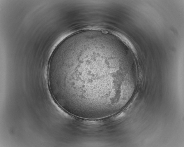 X0000112810855200909041452