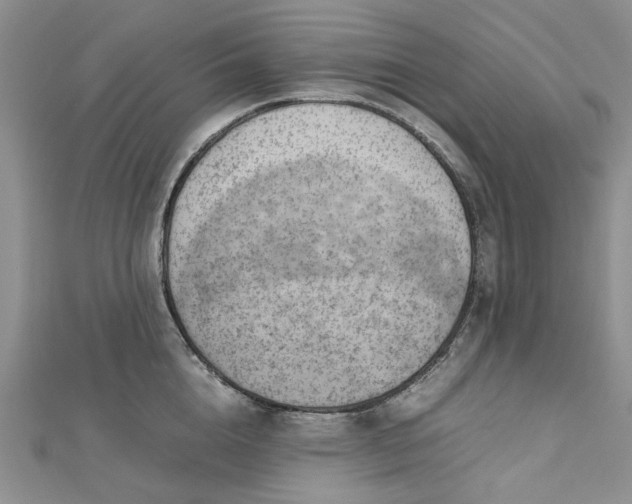 X0000112810856200909041452