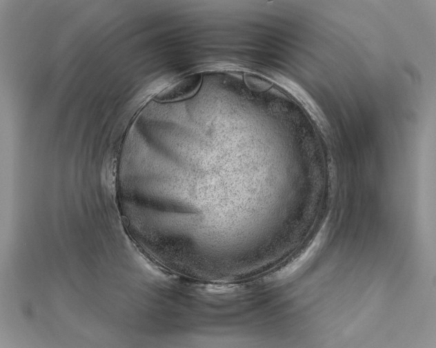 X0000112810857200909041452