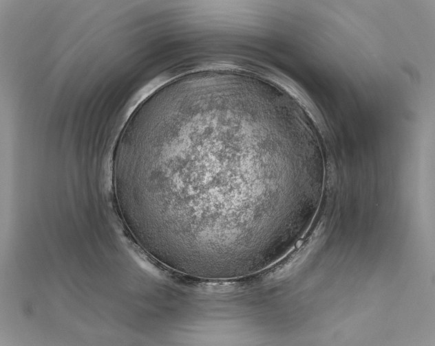 X0000112810858200909041452