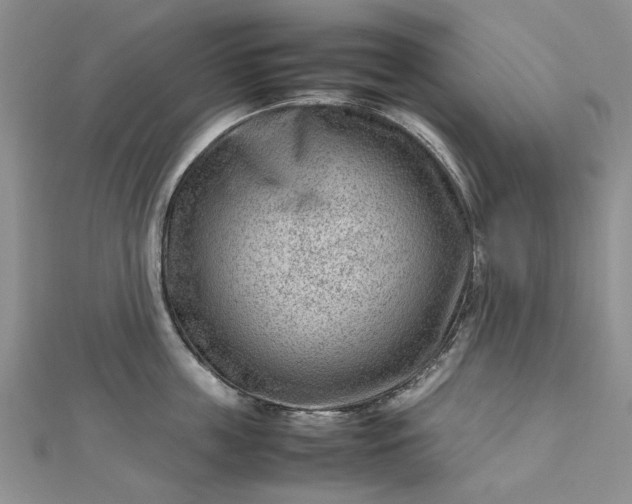 X0000112810859200909041452