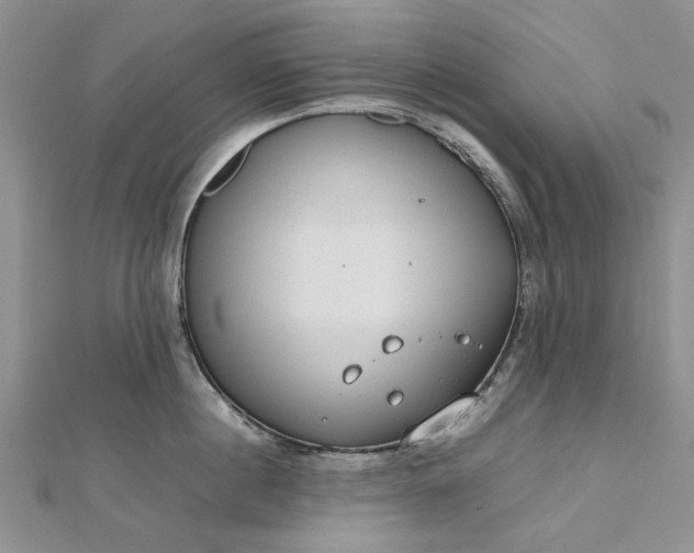 X0000112810860200909041452