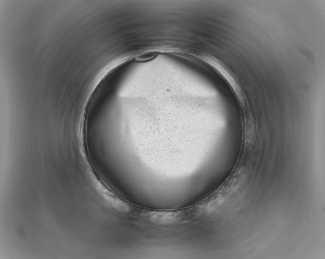 X0000112810861200909041452