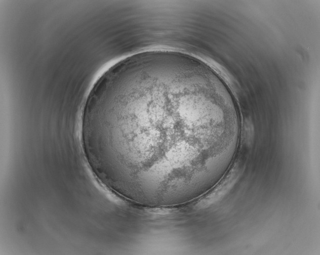 X0000112810862200909041453