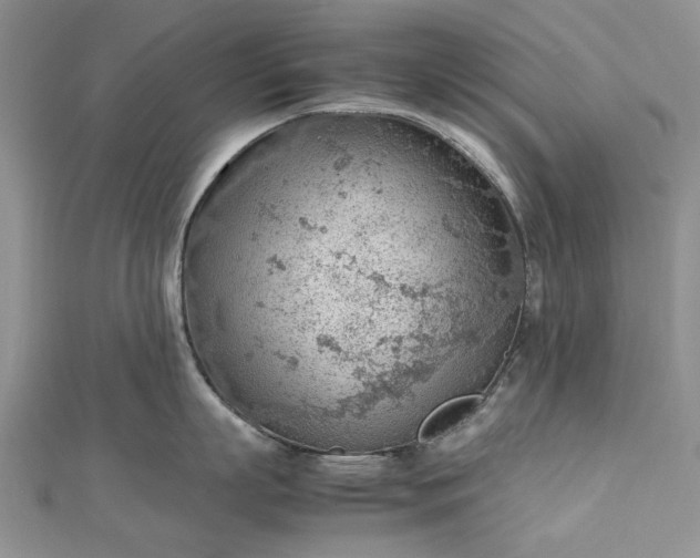 X0000112810863200909041453