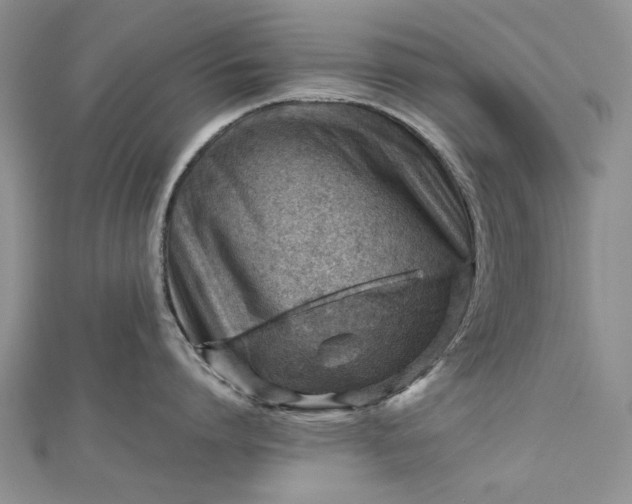 X0000112810864200909041453