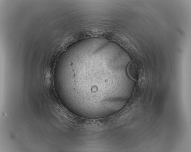 X0000112810866200909041452