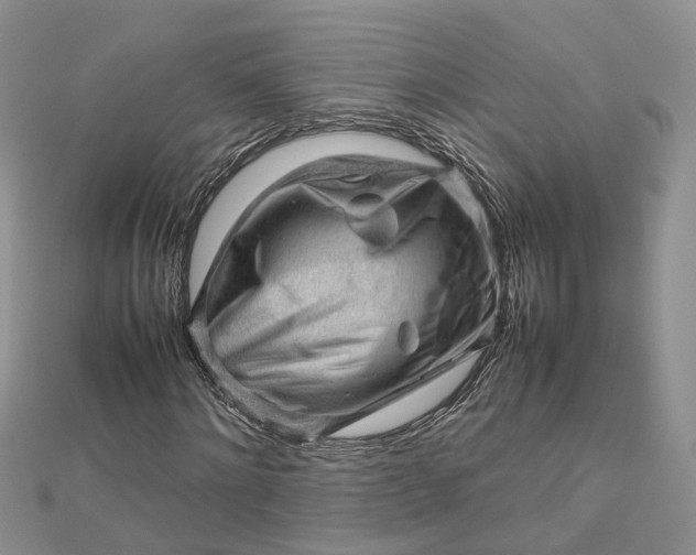 X0000112810868200909041452