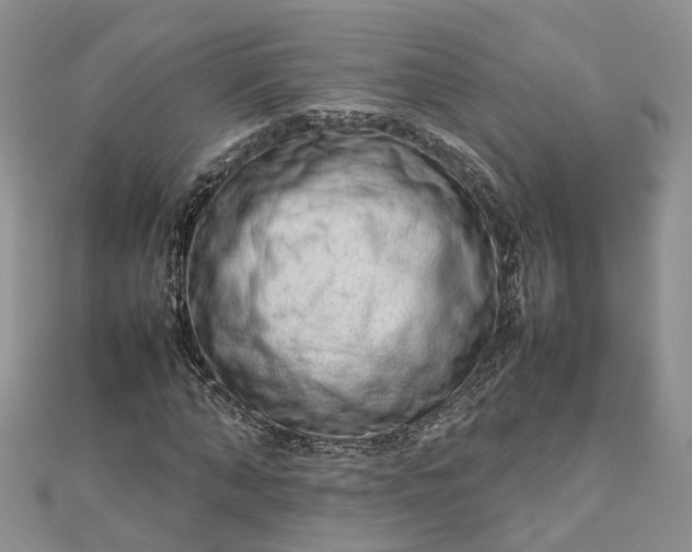 X0000112810870200909041452