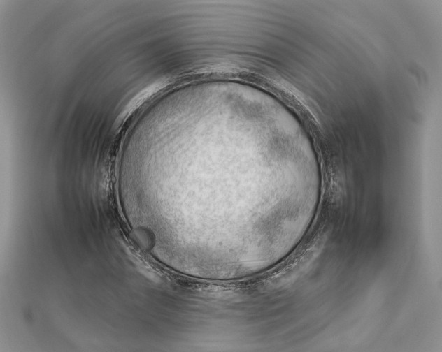 X0000112810874200909041452