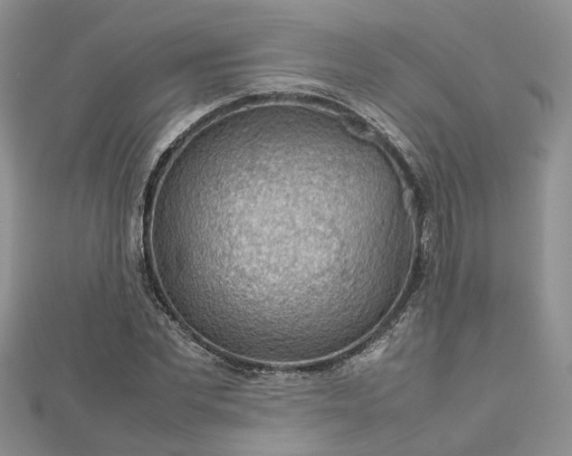 X0000112810877200909041452