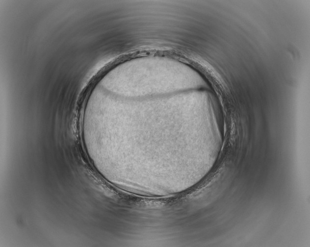 X0000112810878200909041452