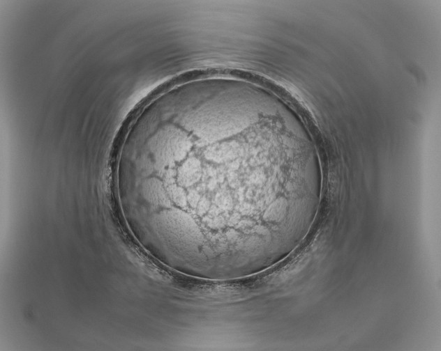 X0000112810879200909041452