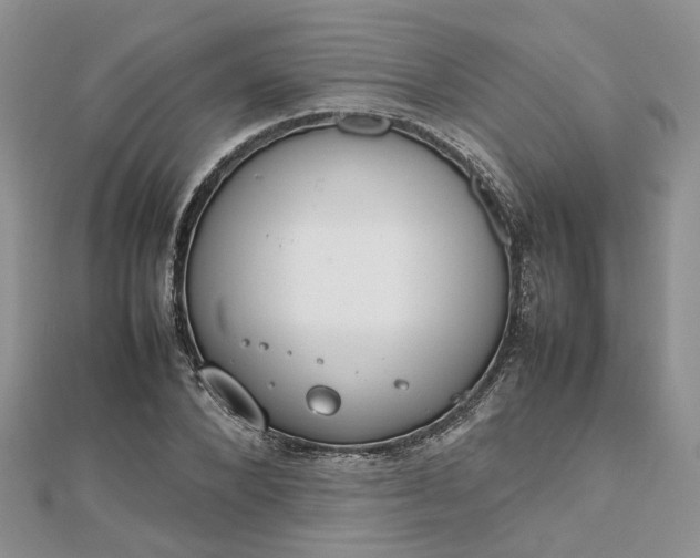 X0000112810880200909041452