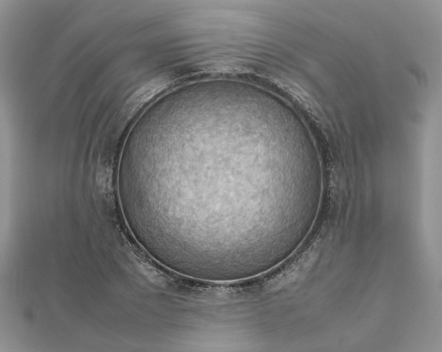 X0000112810881200909041452