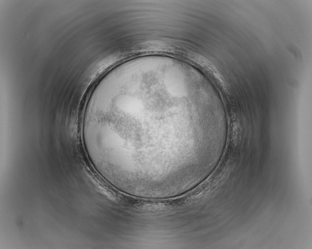 X0000112810882200909041452