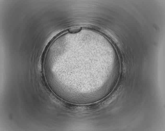 X0000112810883200909041452