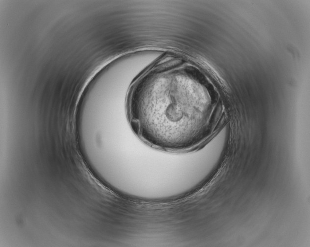 X0000112810884200909041452