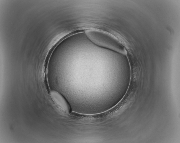 X0000112810885200909041452