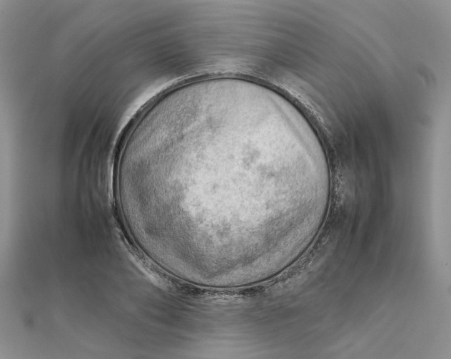 X0000112810886200909041452